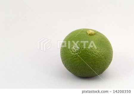 科比白了回來 14208350