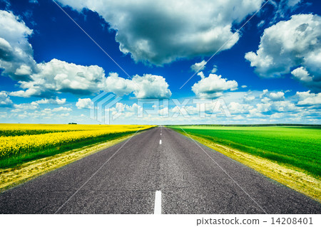 Empty Asphalt Countryside Road Through Fields With Yellow Flower 14208401