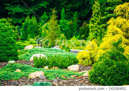 Garden Landscaping Design. Flower Bed, Green Trees And Bushes In Garden Landscaping Design. Flower Bed, Green Trees And Bushes In 14208402