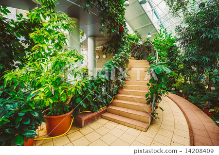 Greenhouse With Flowers. Temperate House Conservatory, Botanical 14208409