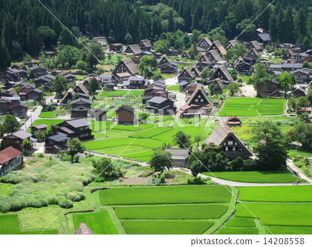 Gifu Prefecture, Shirakawa-go Gassho-style Village, View from the Castle Ruins Observatory, World Heritage Site Gifu Prefecture, Shirakawa-go Gassho-style Village, View from the Castle Ruins Observatory, World Heritage Site 14208558