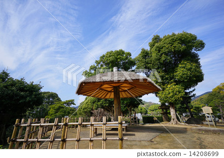 Umletei Suma Rikyu 14208699