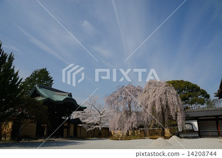 Kodaiji 3 Kodaiji 3 14208744