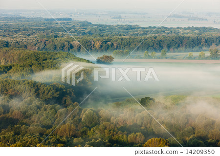 landscape with autumnal forest in fog 14209350