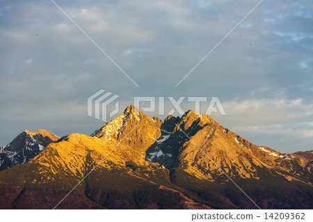 surroundings of Lomnicky Peak, Vysoke Tatry (High Tatras), Slova 14209362