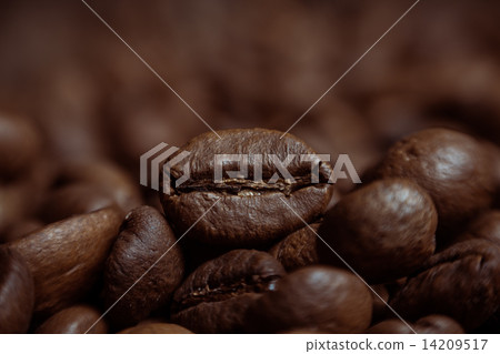 Coffee on grunge wooden background Fresh coffee beans on wood and linen bag  14209517