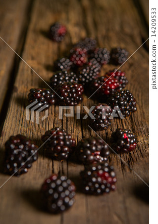 Sweet fresh blackberry in the wood bawl Sweet fresh blackberry in the wood bawl 14209533
