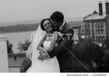 Happy couple on wedding day. Bride and Groom. Happy couple on wedding day. Bride and Groom. 14209600