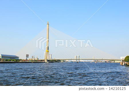 The Rama VIII bridge over the Chao Praya river in Bangkok, Thail 14210125