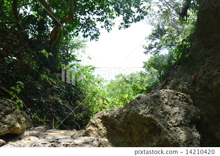 Junji / Hikari (Sayakumi Utaki / Nanjo City, Okinawa Prefecture) Junji / Hikari (Sayakumi Utaki / Nanjo City, Okinawa Prefecture) 14210420