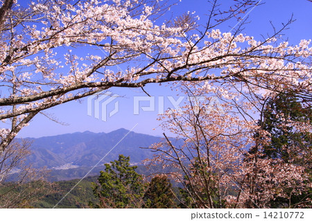 Takamiyama seen from Yoshinoyama (Nara) 14210772