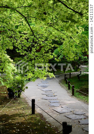 Fresh green - Blue sanctuary monster track Fresh green - Blue sanctuary monster track 14211137