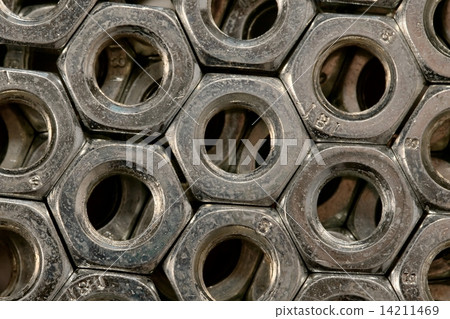 Nuts Nuts 14211469