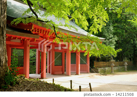 Katori Shrine Katori Shrine 14211508