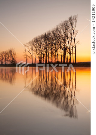 Symmetry on the river at sunrise 14211909