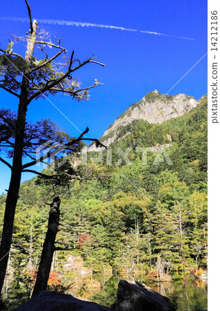 Kamikochi in summer Kamikochi in summer 14212186