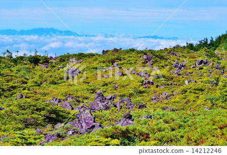 從北八岳的Pingyae的雲海和南阿爾卑斯山 14212246
