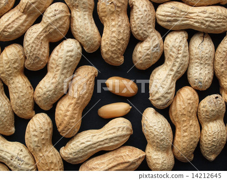 Peanut picture 14212645