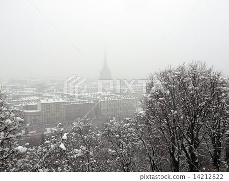 Turin view 14212822