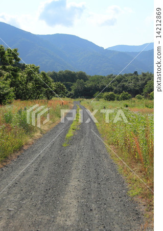Gravel road Gravel road 14212869