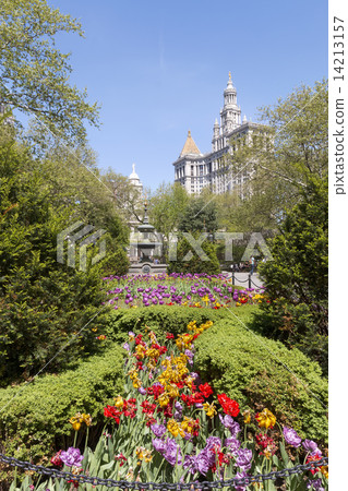 Spring at New York City Hall Park 14213157