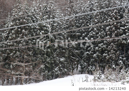 2010年2月12日接觸網捕冰現象 14213240