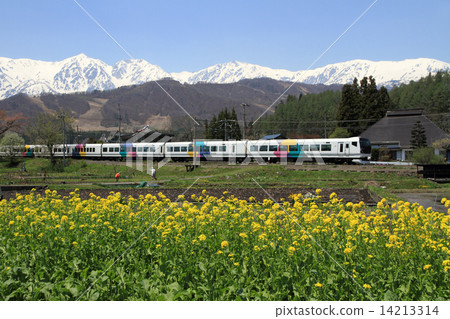 Ozo Line · Hakuba no Spring Ozo Line · Hakuba no Spring 14213314