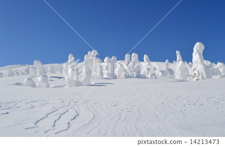 Stock Photo: ice monster, frost covered tree, snow monster