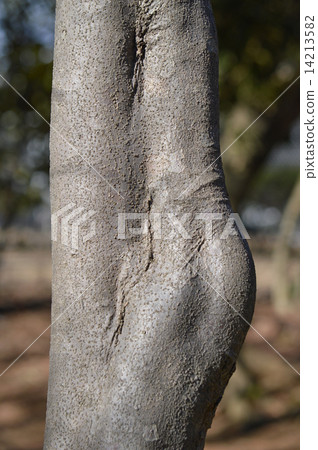 Yamabote (mountain lawman) 14213582