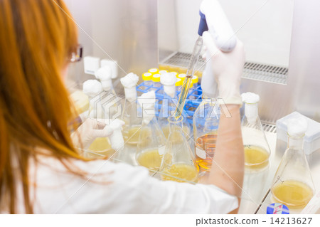 Life scientist researching in the laboratory. 14213627