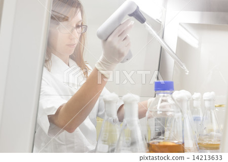 Life scientist researching in the laboratory. Life scientist researching in the laboratory. 14213633