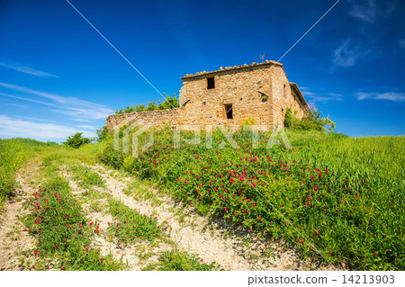 Tuscany at spring Tuscany at spring 14213903