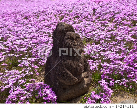 米薩櫻花和長澤寺的石像 米薩櫻花和長澤寺的石像 14214111