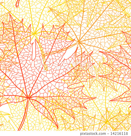 Autumn macro leaf of maple. Vector bacground. Autumn macro leaf of maple. Vector bacground. 14216118