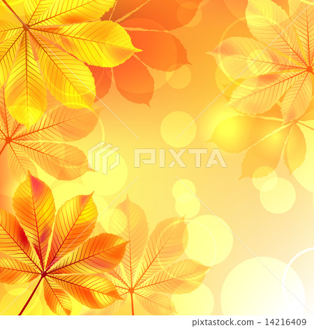 Autumn background with yellow leaves. 14216409