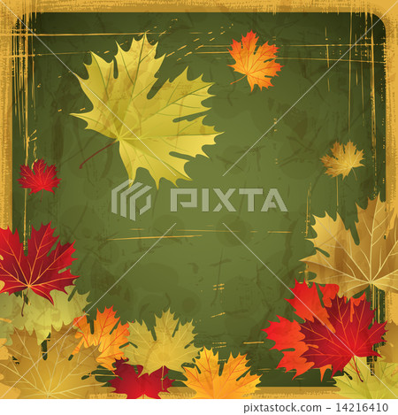 EPS10 Autumn leaves grunge background. Vector illustration. 14216410