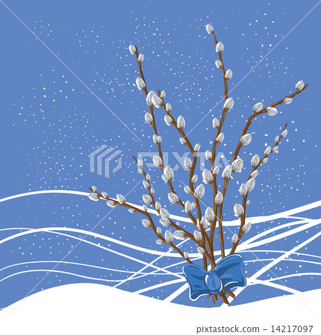 Pastel background with pussy willow. Vector illustration. Pastel background with pussy willow. Vector illustration. 14217097