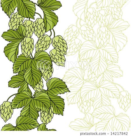 Hop Ornament On Green Grunge Background. 14217842