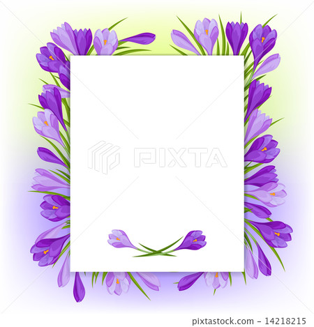 Spring flowers crocus natural background Spring flowers crocus natural background 14218215