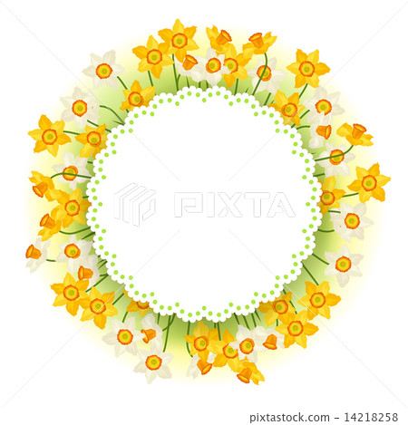 Spring flowers narcissus natural background 14218258