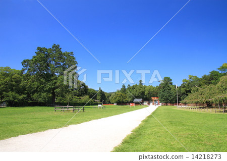 September Kyoto Kamigamo Shrine · approach from the Iino Torii 14218273