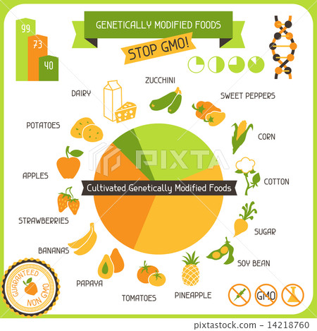 Information Poster Genetically Modified Foods Information Poster Genetically Modified Foods 14218760