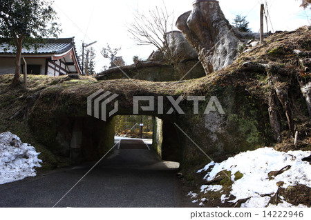 Bronze gate 14222946