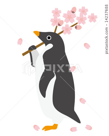 阿德利企鵝春天 14237688