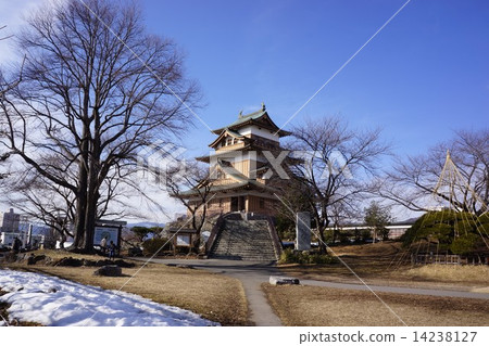 Suwa Takashima Castle 14238127