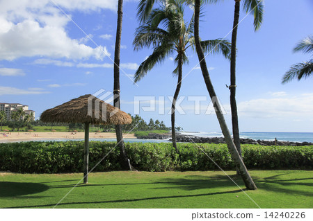 夏威夷度假村Ko Olina 夏威夷度假村Ko Olina 14240226