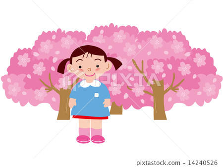 Cherry blossoms in full bloom and girls' children 14240526