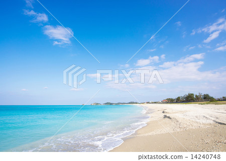 沖繩的海灘·海灘海岸 沖繩的海灘·海灘海岸 14240748