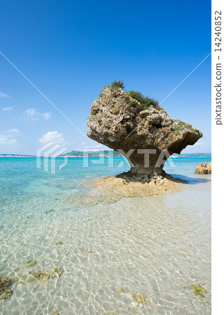 沖繩海·Hamahigajima·奇怪的岩石 14240852