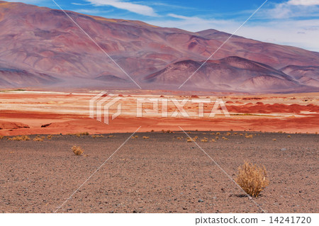 Northern Argentina 14241720